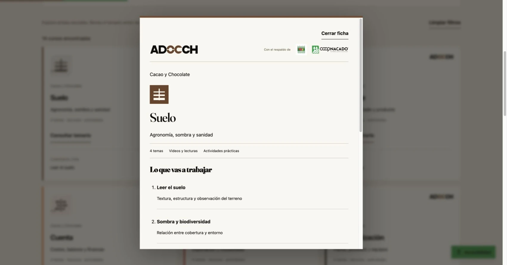 ADOCCH — Ficha de curso · prototipo local