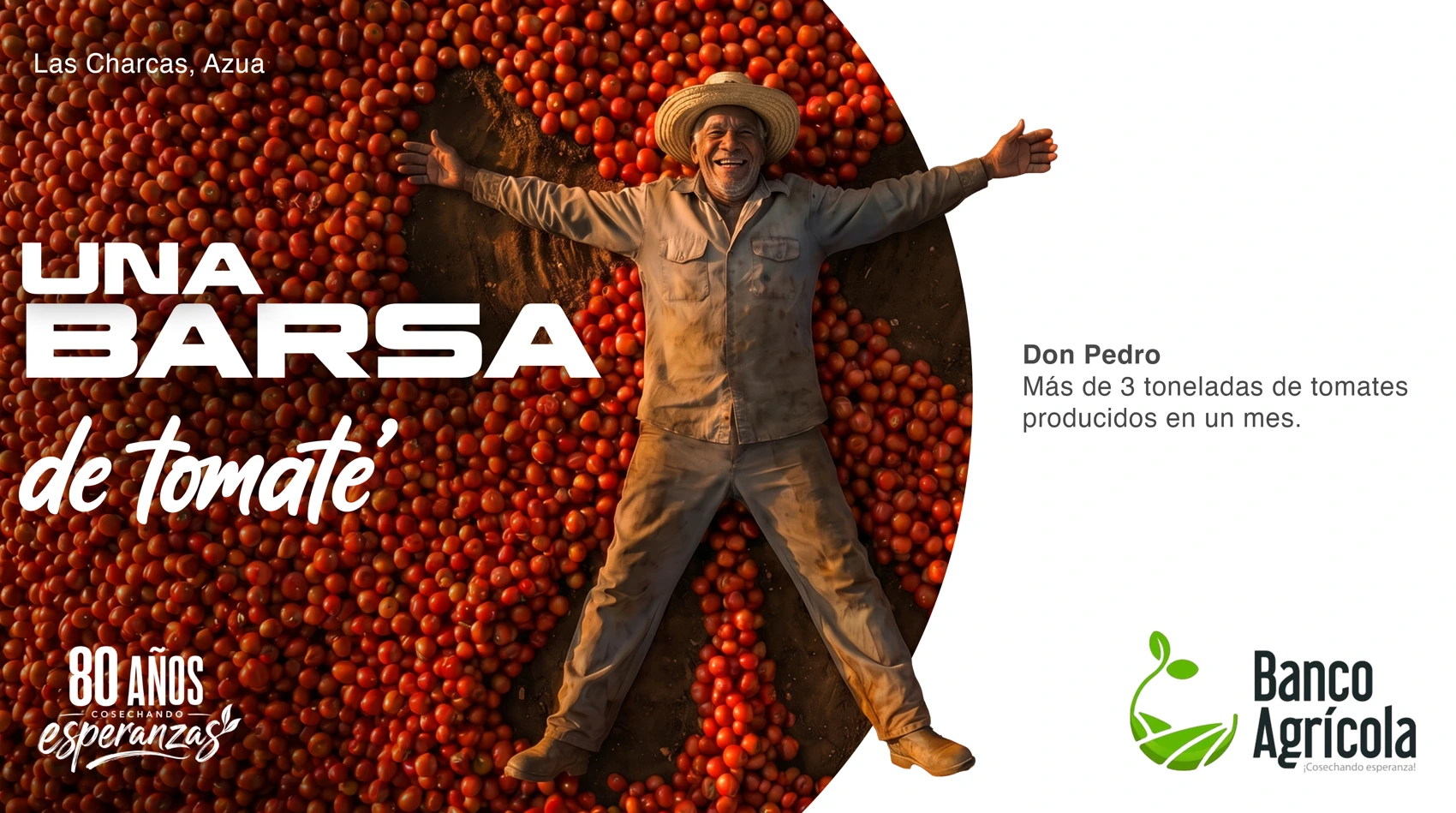 Banco Agrícola — Arte de campaña 2026 · 6