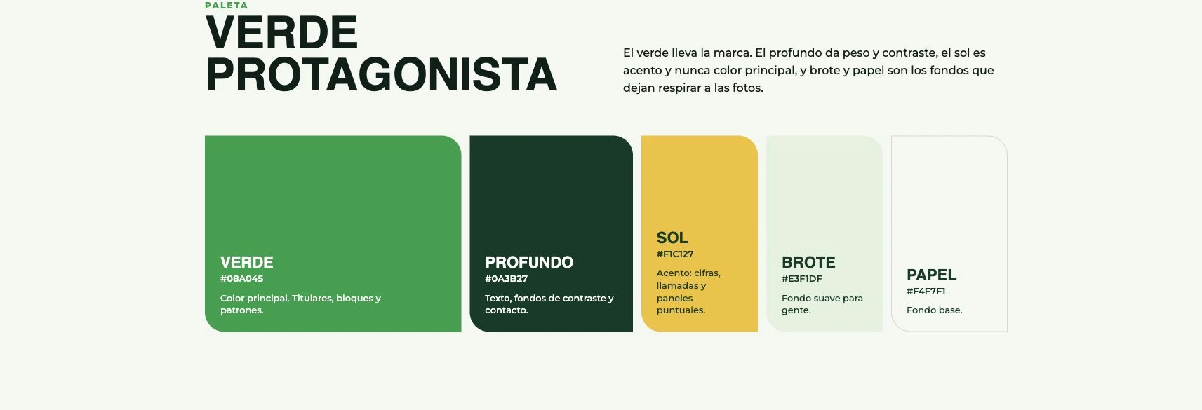 COOPNACADO — Paleta del sistema final