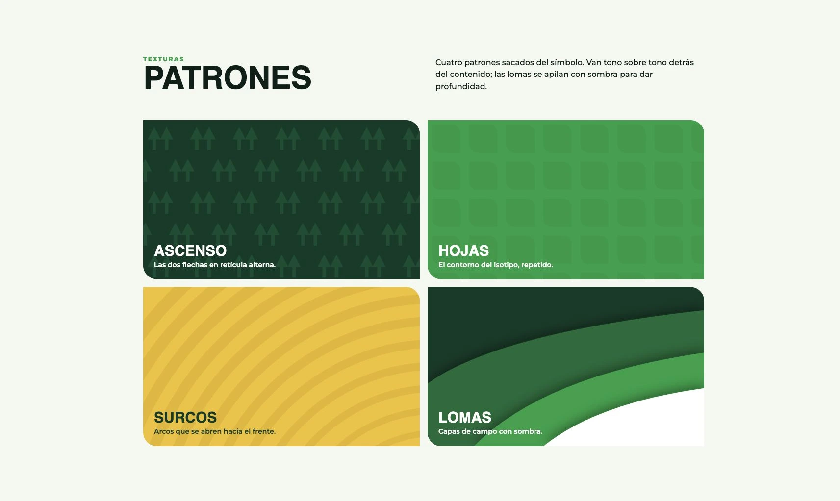COOPNACADO — Ascenso · Hojas · Surcos · Lomas