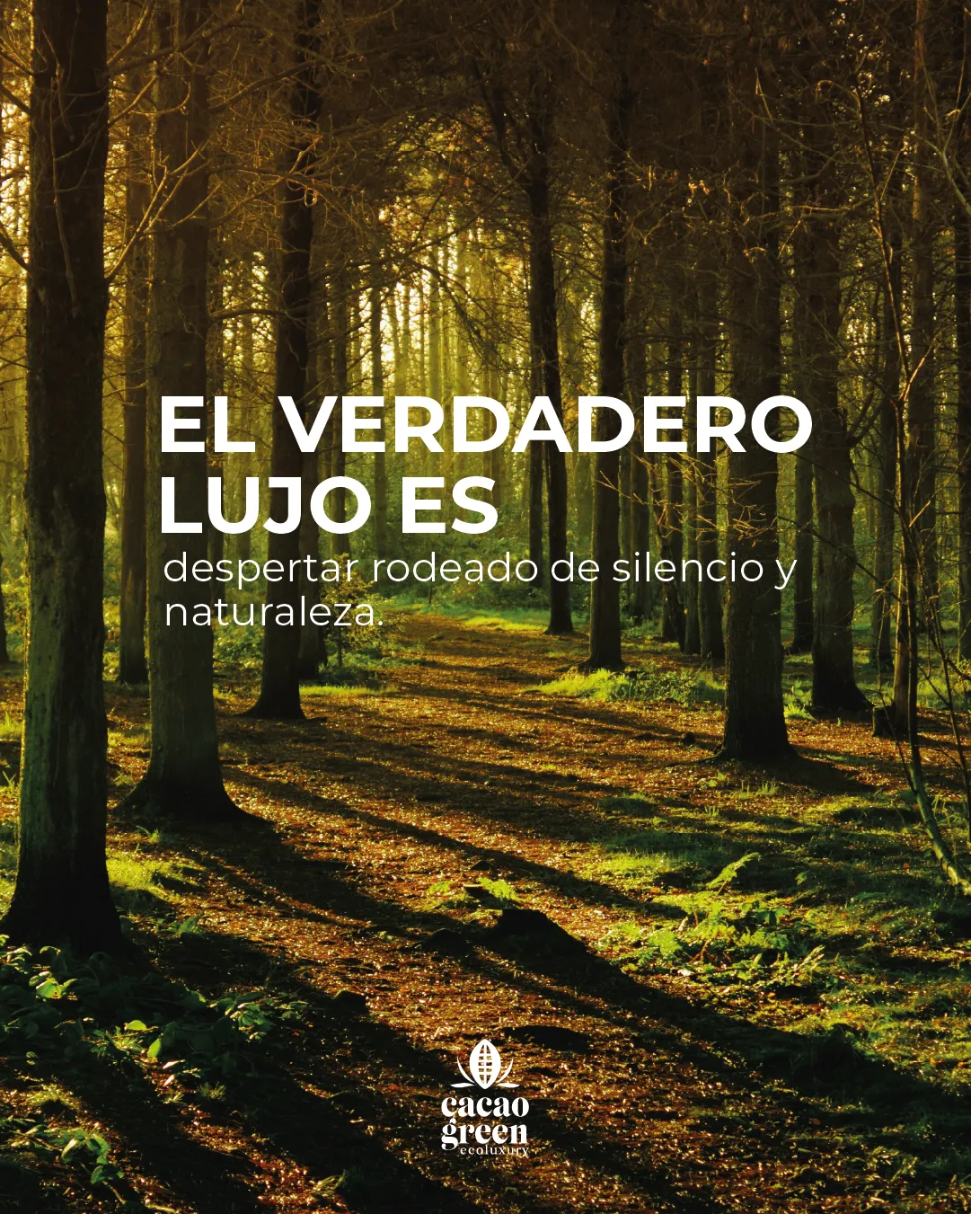 Cacao Green Ecoluxury — Social piece