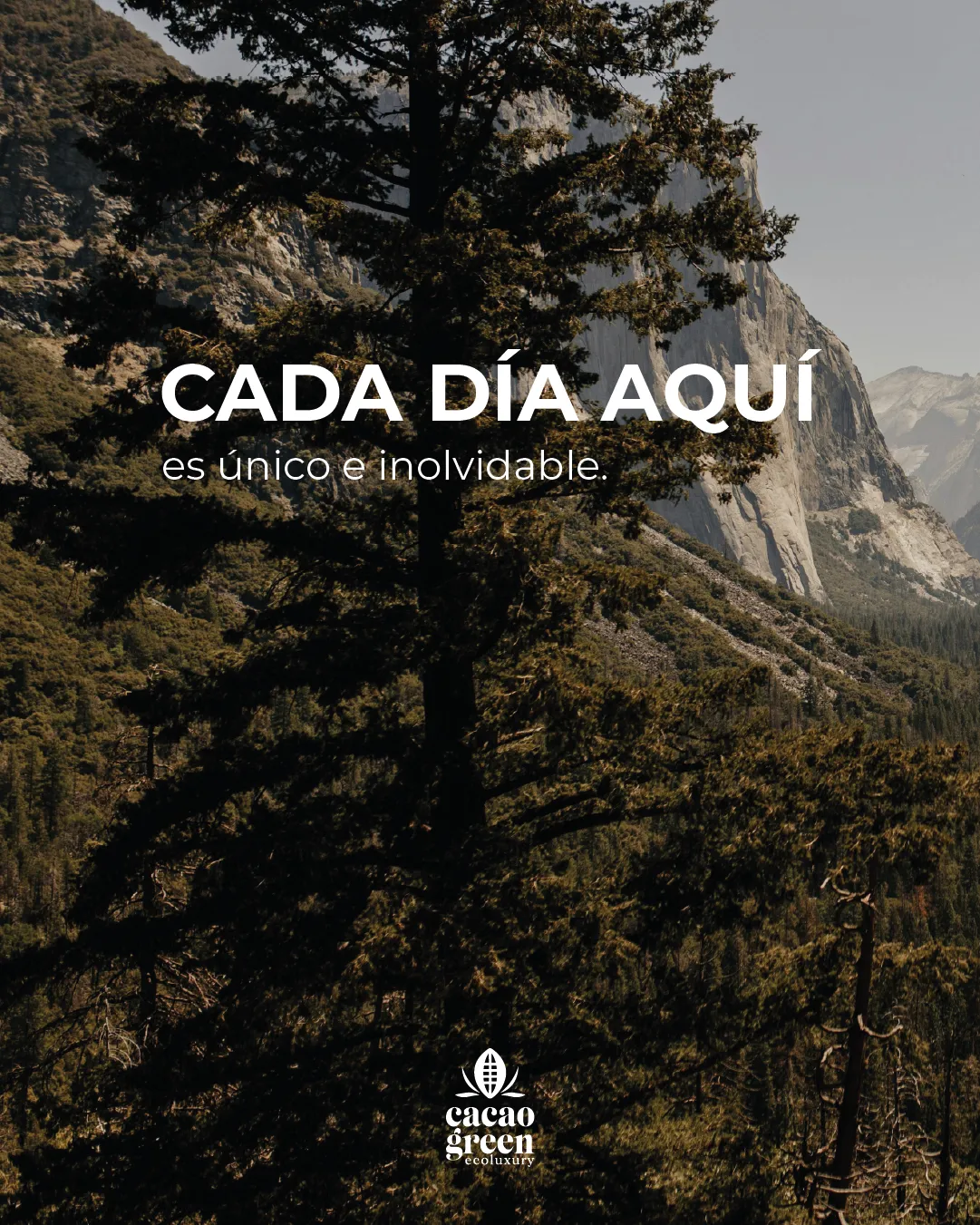 Cacao Green Ecoluxury — Social piece