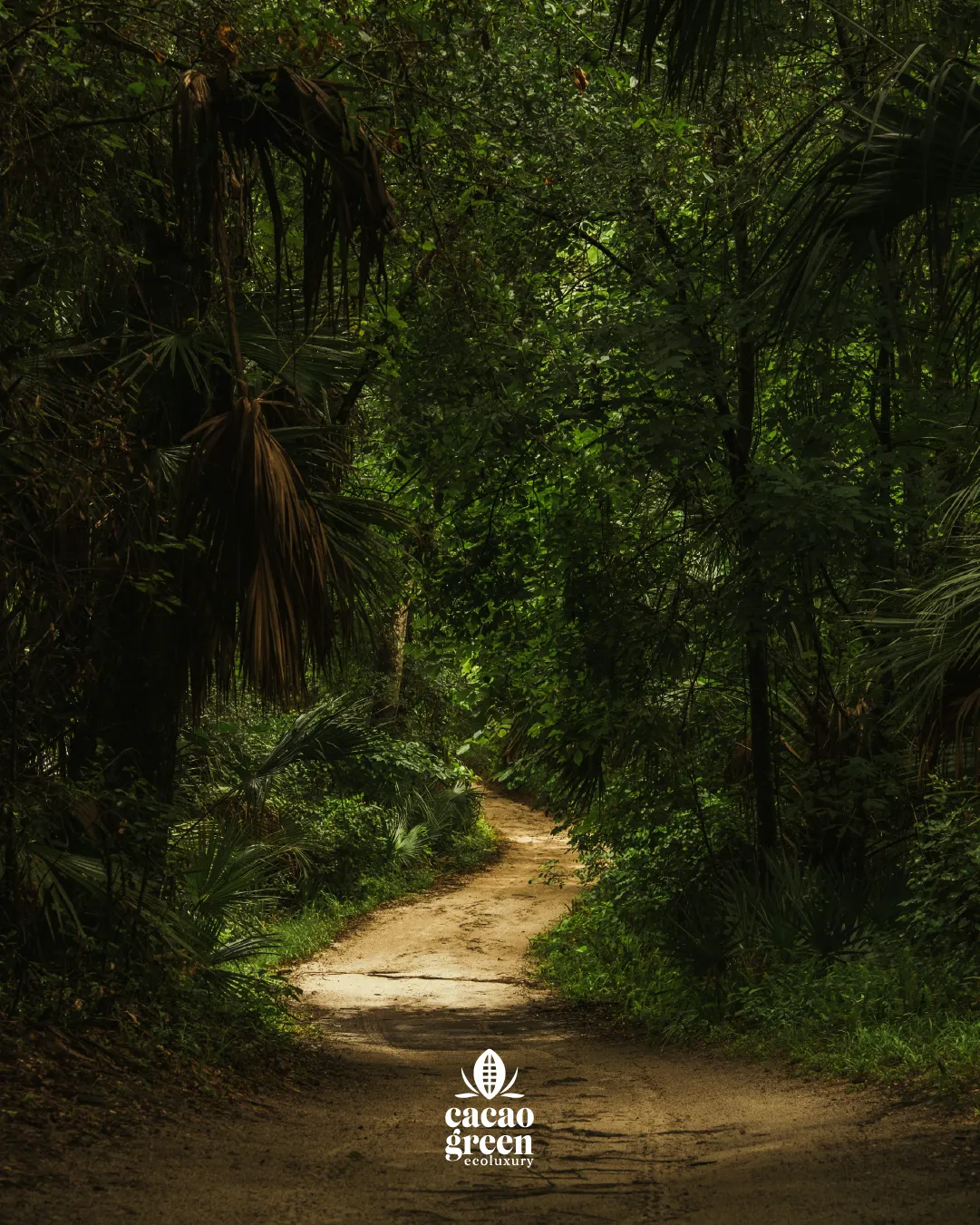 Cacao Green Ecoluxury — Social piece