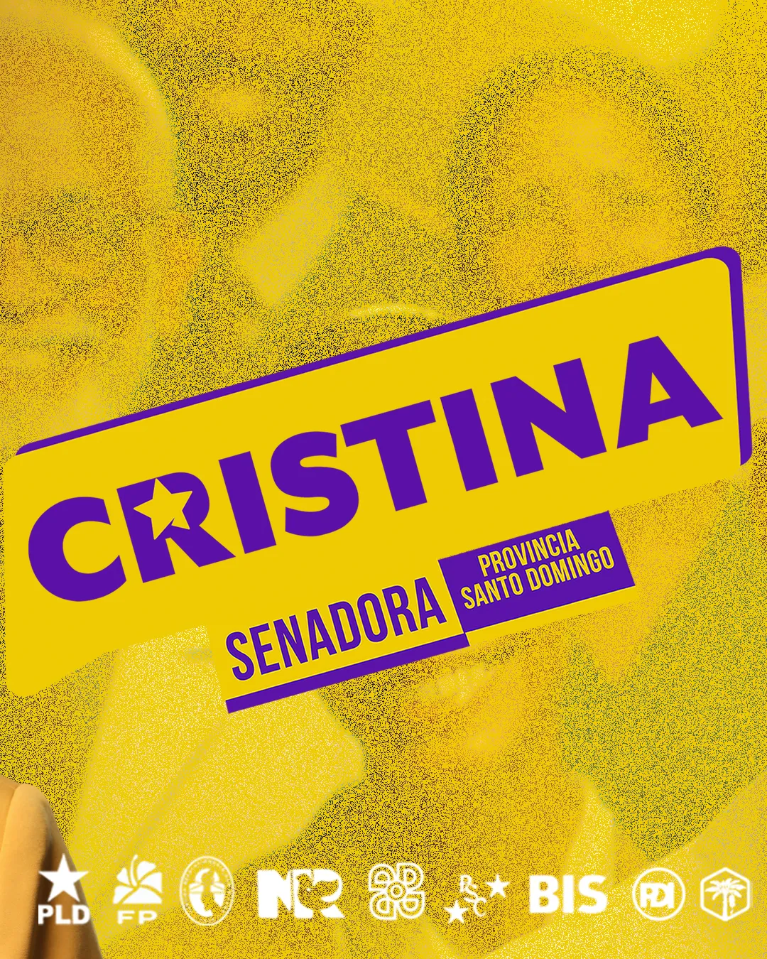 Cristina Lizardo — Identity