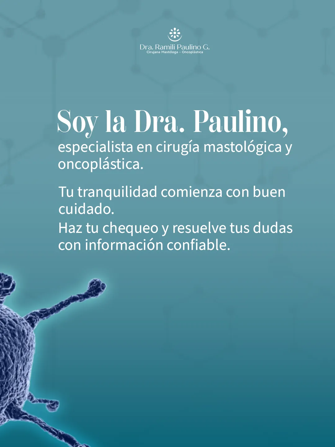 Dra. Paulino — Pieza para redes