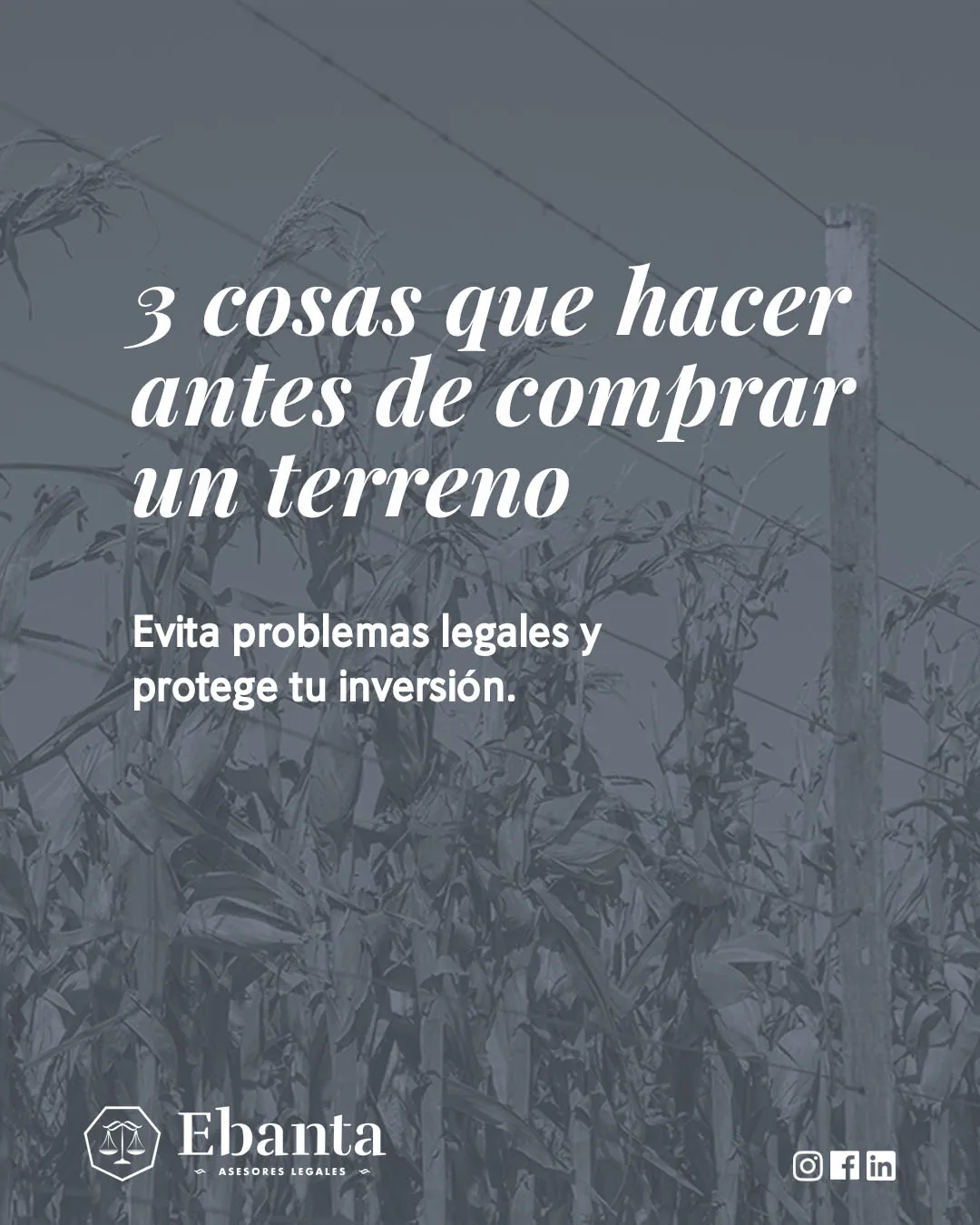 Ebanta — Pieza para redes