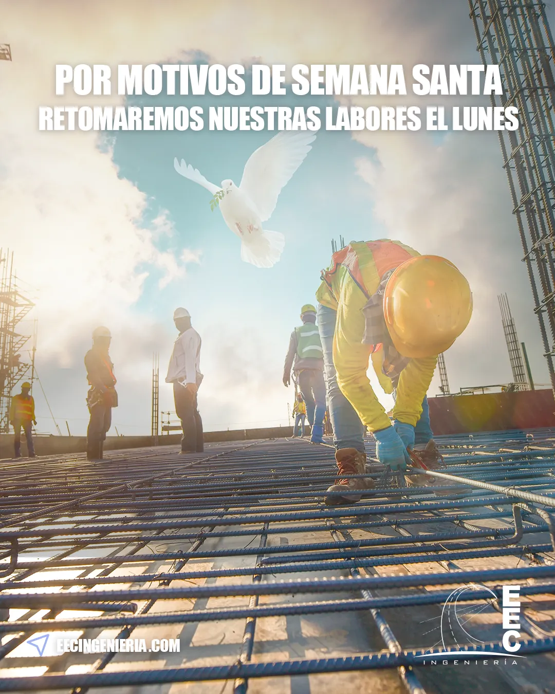 EEC Ingeniería — Pieza para redes
