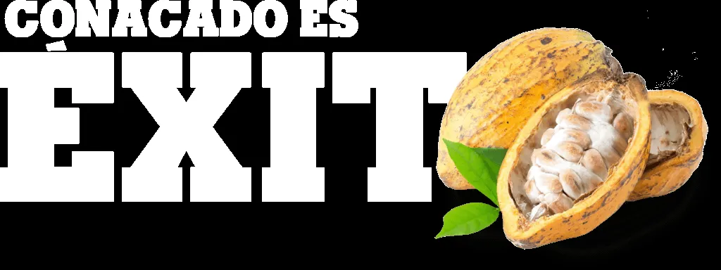 Grupo CONACADO — Pieza para redes