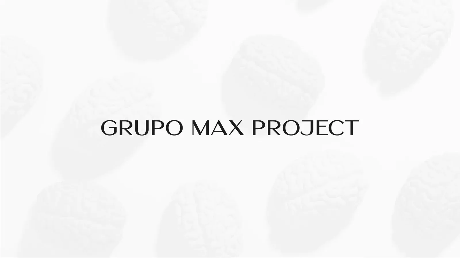Grupo Max Project — Presentación