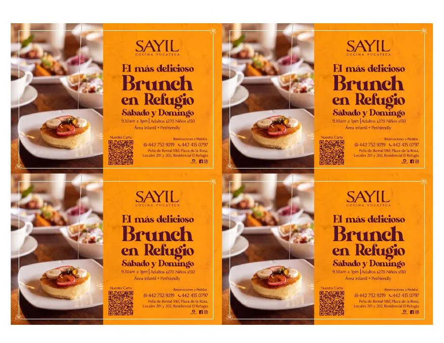 Grupo Sayil — Print piece
