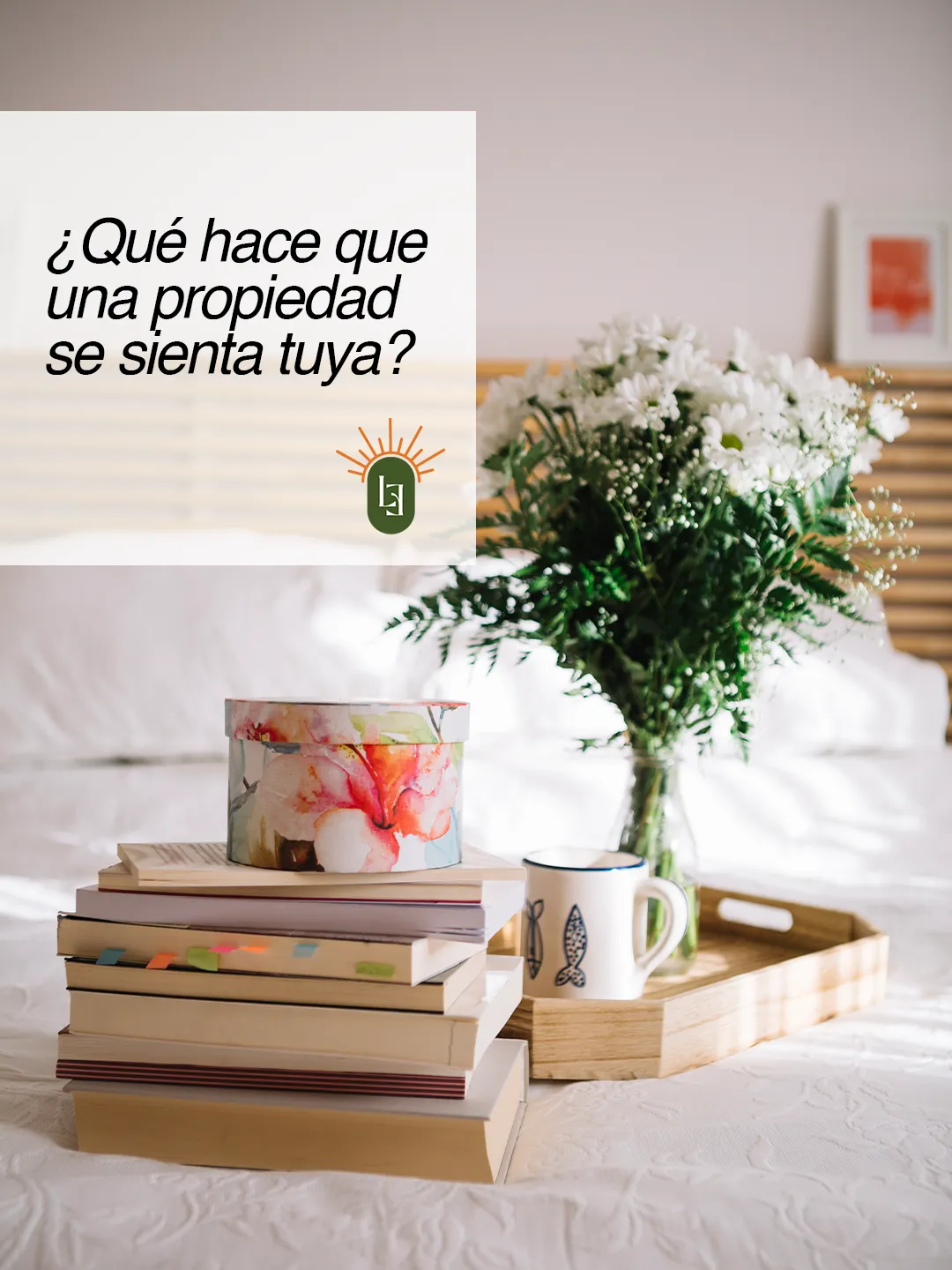 Luz del Este — Pieza para redes