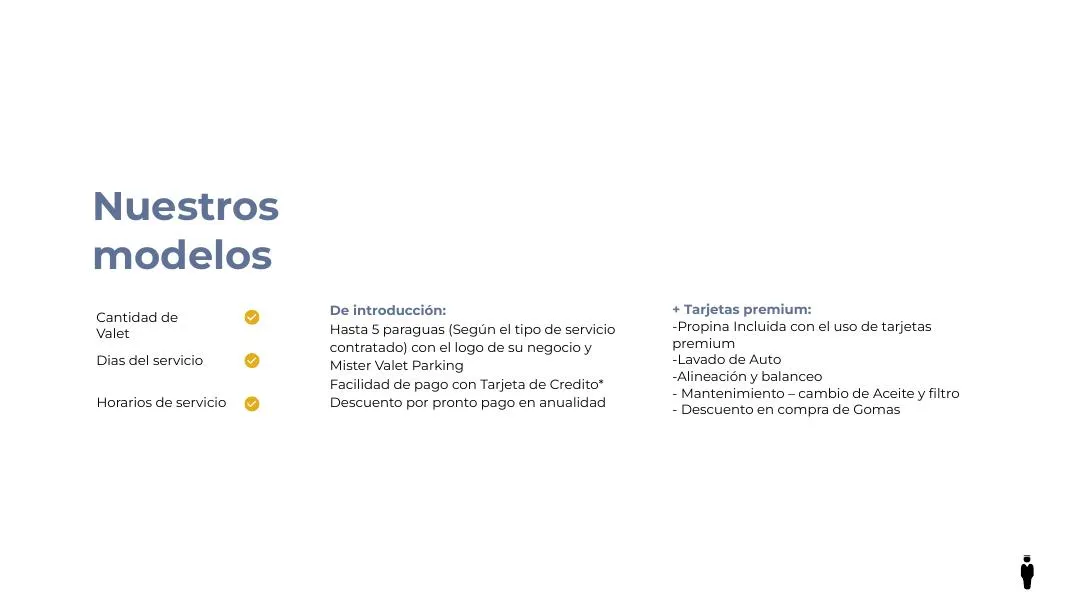 Mister Valet Parking — Presentación