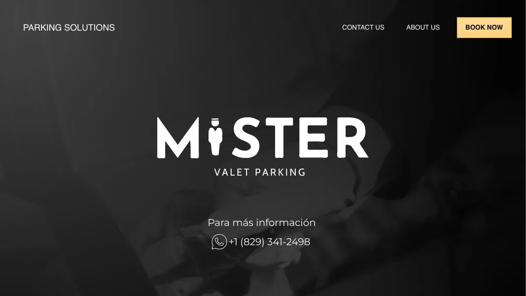 Mister Valet Parking — Presentación