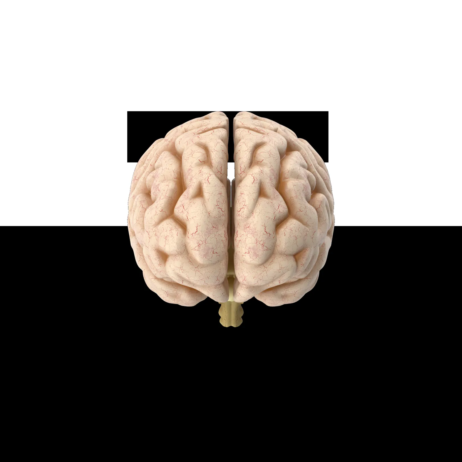 MIVED — Investigación