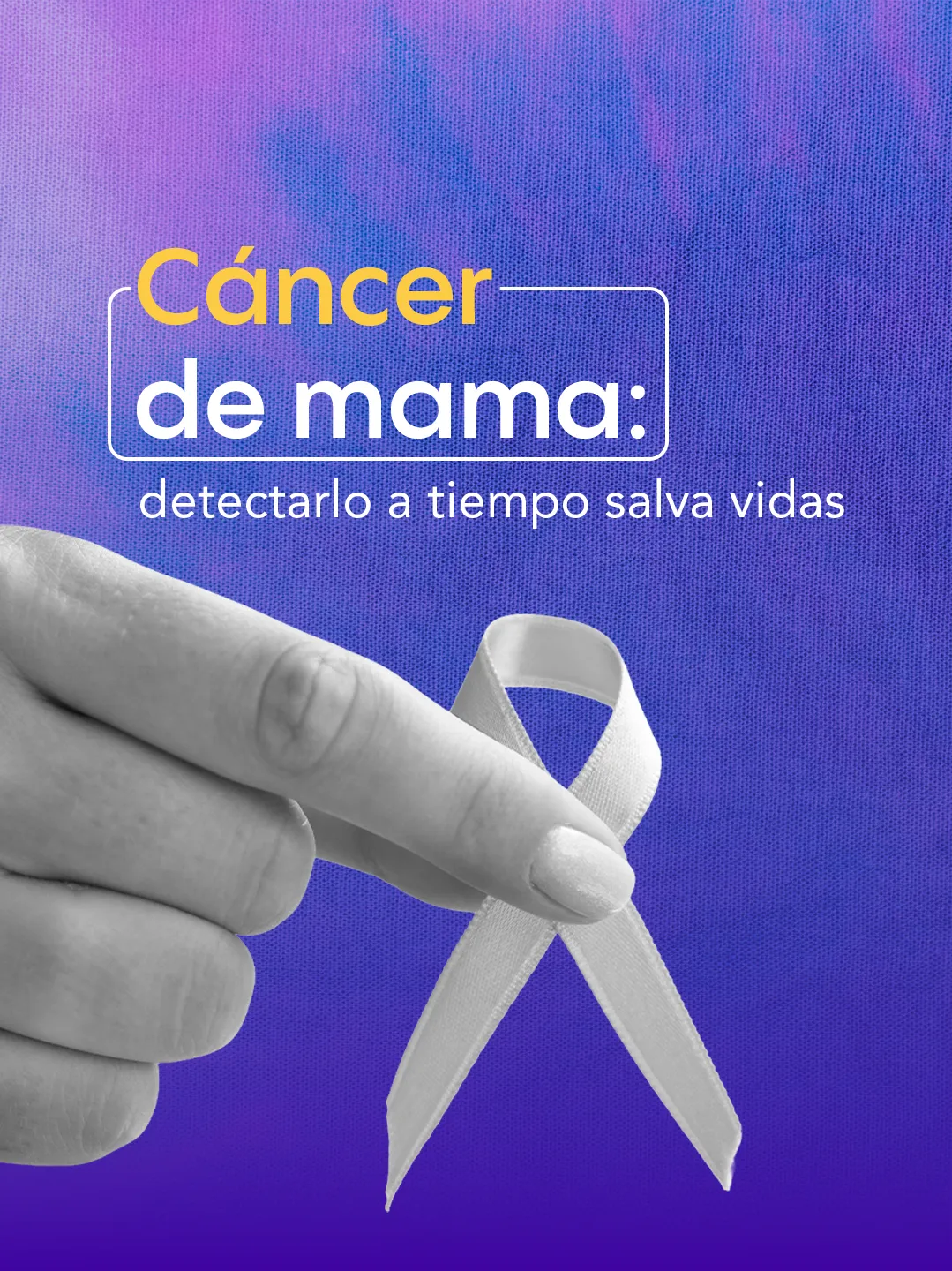 Pridah Suero — Pieza para redes