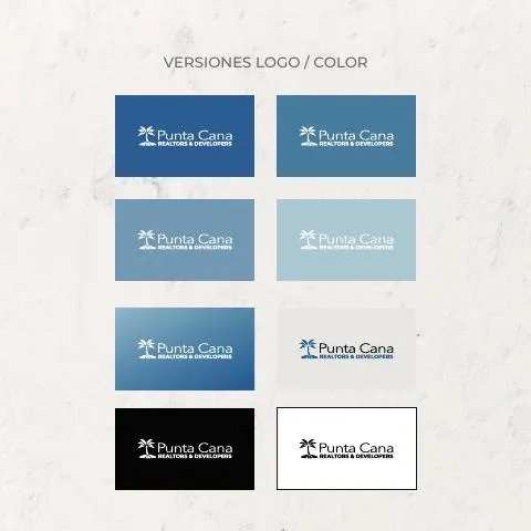 Punta Cana Realtors & Developer — Identity