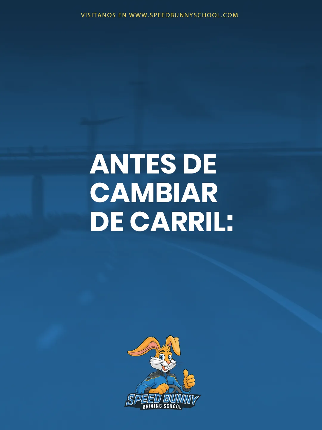 Speed Bunny Driving School — Pieza para redes