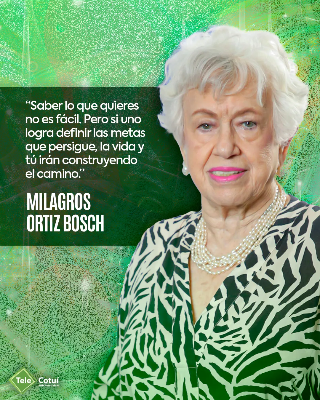 Telecotuí — Identidad