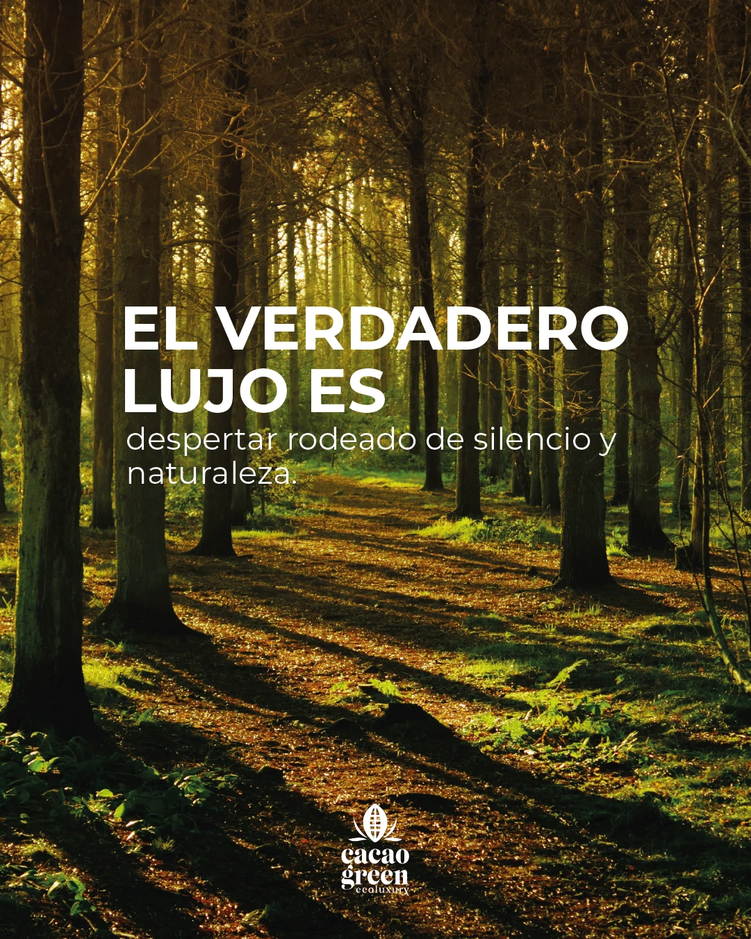 Cacao Green Ecoluxury — Contenido · Octubre 2025