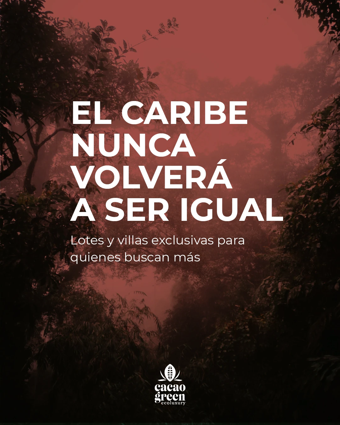 Cacao Green Ecoluxury — Contenido · Septiembre 2025