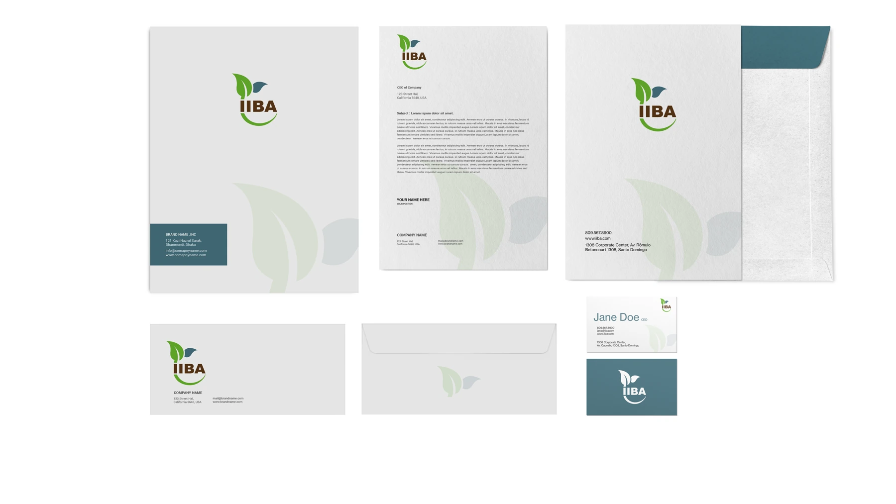 IIDIBA — Papelería institucional · Sistema de aplicaciones