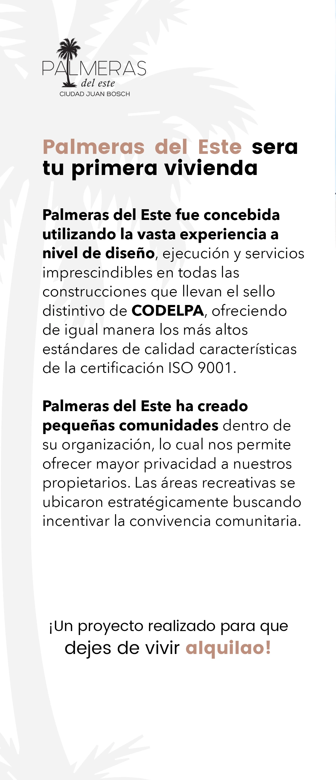 Palmeras del Este — Brochure · Pieza editorial