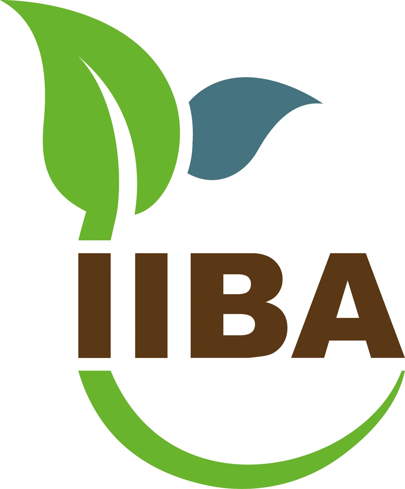 IIDIBA — Logotipo