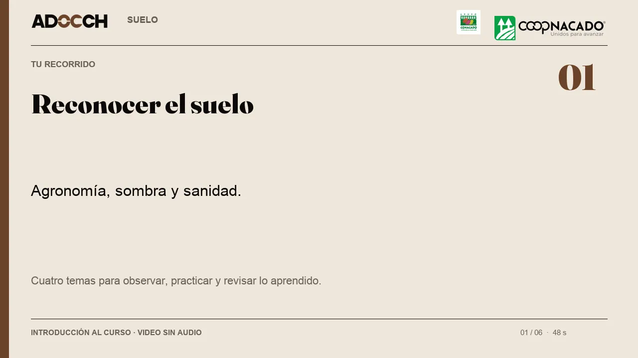 ADOCCH — Plataforma digital · pantalla