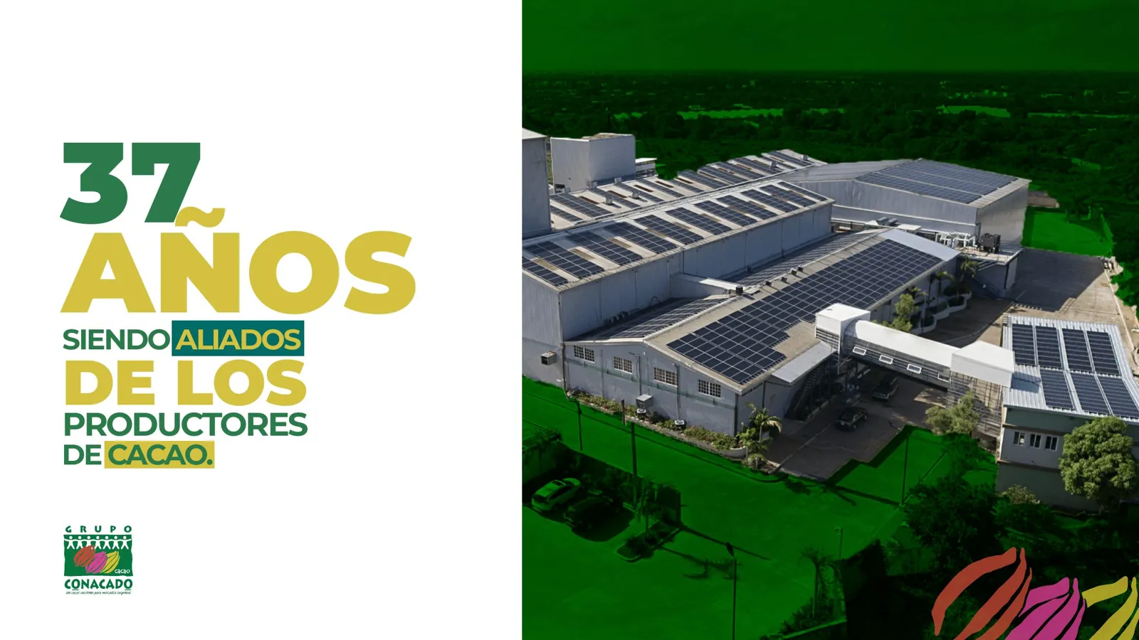 Grupo CONACADO — Presentación 2025