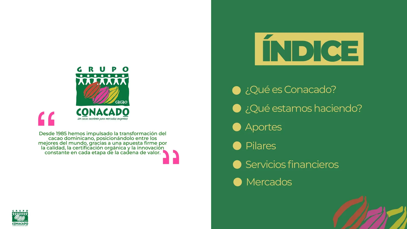 Grupo CONACADO — Presentación 2025