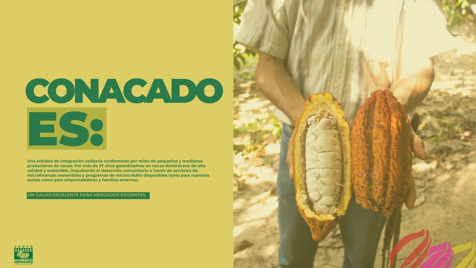 Grupo CONACADO — Presentación 2025