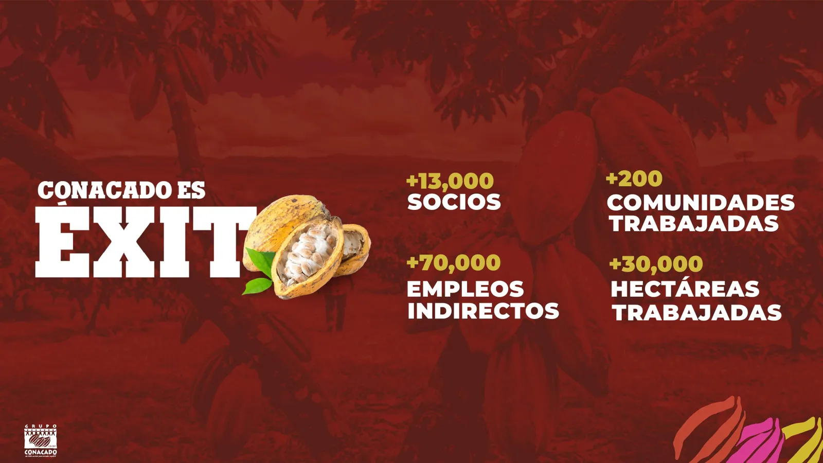 Grupo CONACADO — Presentación 2025