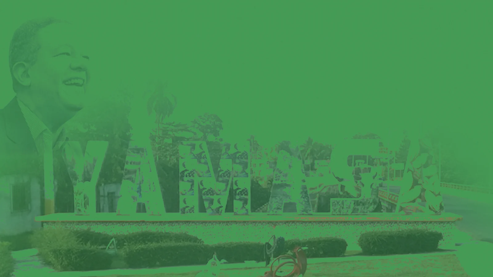 Dismaris — Diseño web · arte original
